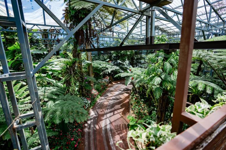 【沖縄】飲んで食べて！大人も満喫できるナゴパイナップルパークの遊び方（名護市）