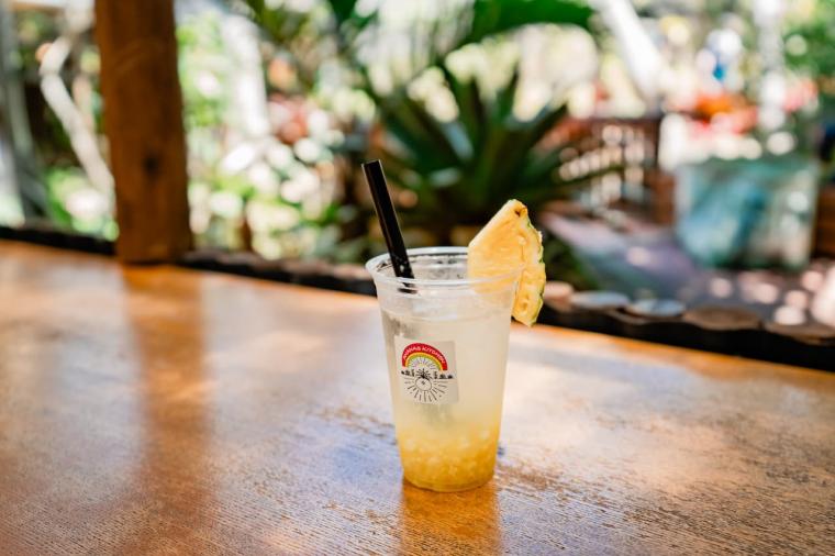 【沖縄】飲んで食べて！大人も満喫できるナゴパイナップルパークの遊び方（名護市）