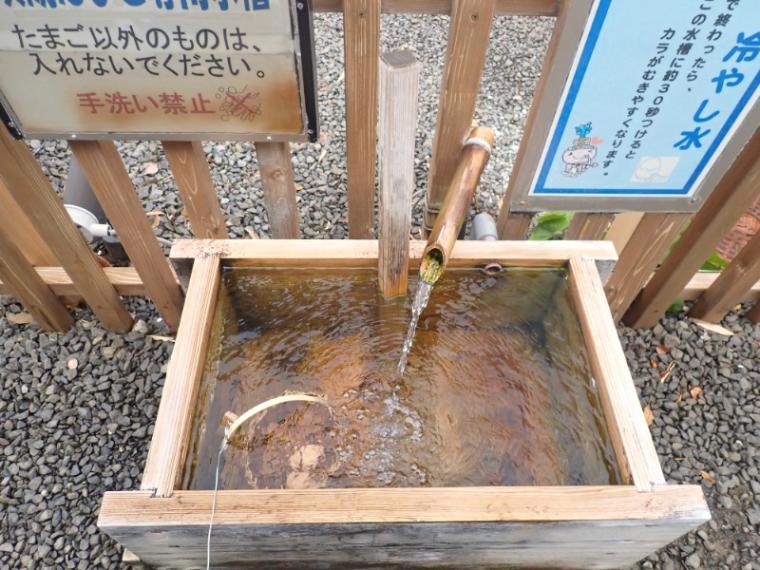 【静岡県河津町・峰温泉大噴湯公園】「噴き出す温泉」を見ながら温泉たまご　40分で完全満喫!
