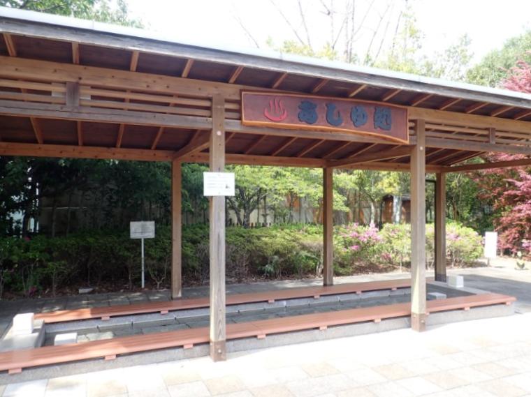 【静岡県河津町・峰温泉大噴湯公園】「噴き出す温泉」を見ながら温泉たまご　40分で完全満喫!