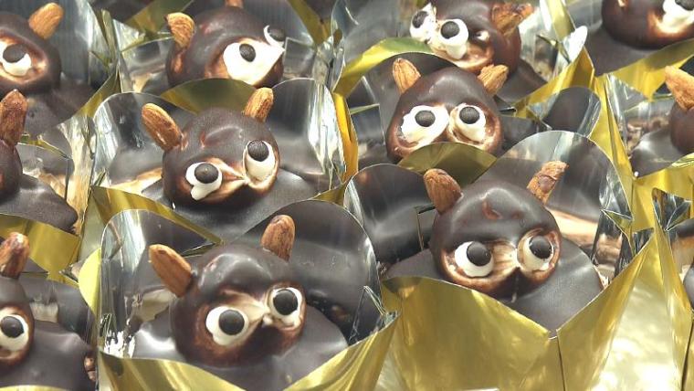 「たぬきケーキ」知ってますか? 絶滅危惧種の懐かしいケーキの今 【静岡県静岡市清水区・日月堂リラ】