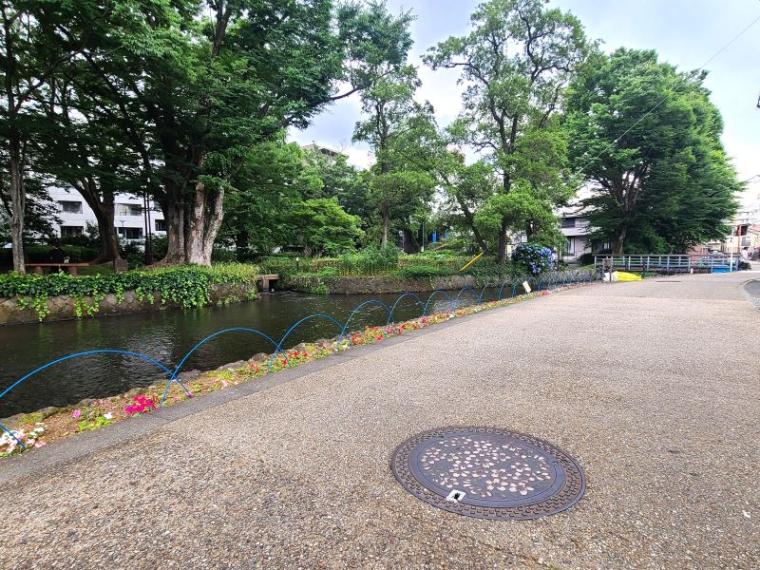 静岡県沼津市・三島市エリアのマンホールのふた【まとめ】 ラブライブ!に続きポケモン新登場で熱い!