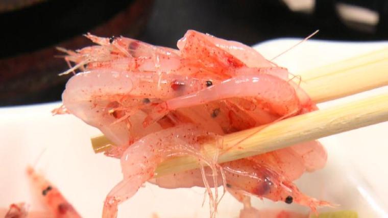 “駿河湾の宝石”サクラエビを食べたい!　迷ったらここへ 由比蒲原の名店3選 