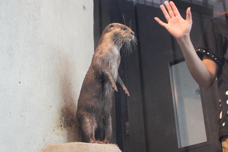 神戸で1日デート・観光なら外せない！映えるアートがたくさん「AQUARIUM×ART átoa」の楽しみ方