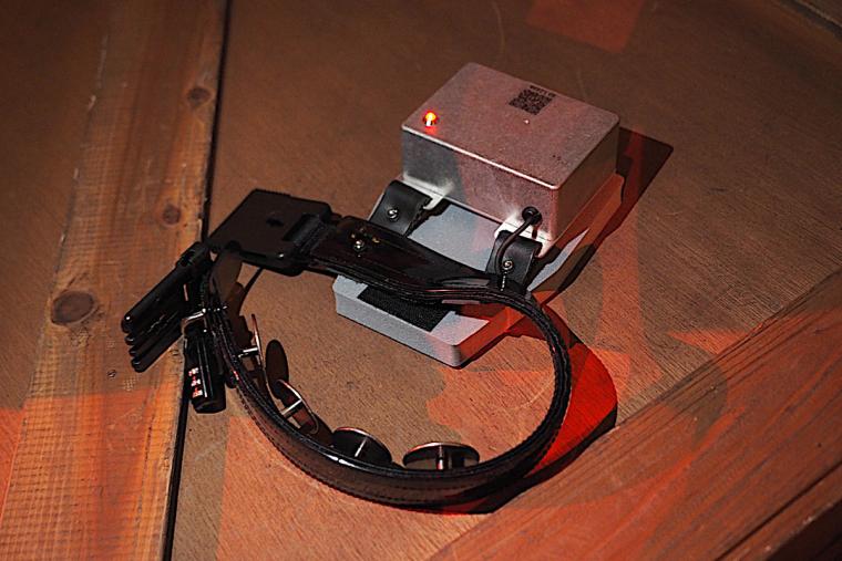 首輪から本気の電流！イマーシブ・フォート東京で命がけの「今際の国のアリス」に挑戦