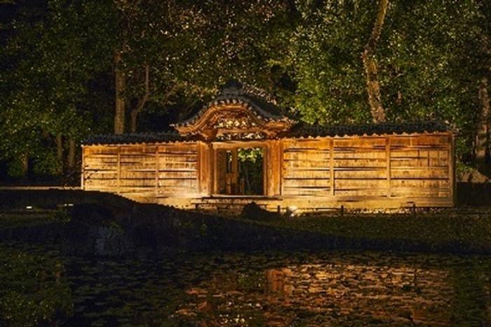 夜間特別開園にライトアップも！「秋の夜長の小石川後楽園」開催