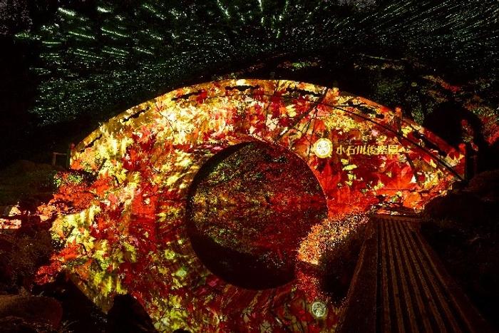 夜間特別開園にライトアップも！「秋の夜長の小石川後楽園」開催