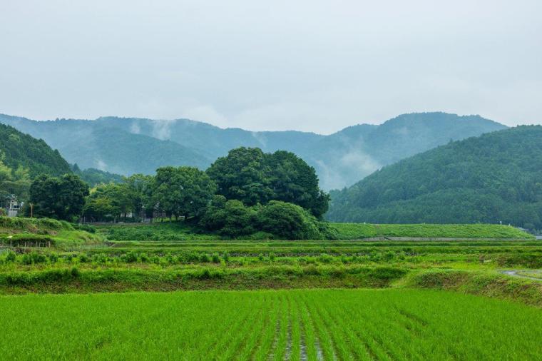 「atelier O-HUIS」