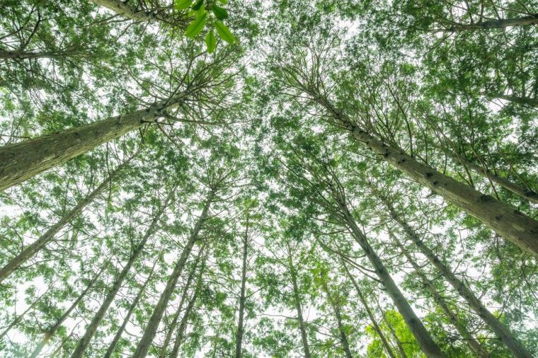 「atelier O-HUIS」