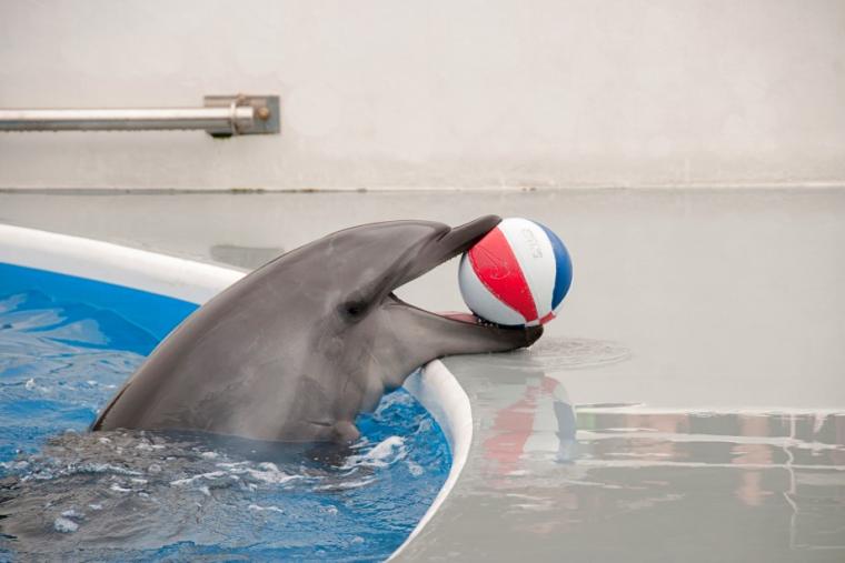 九十九島パールシーリゾート・九十九島水族館 海きらら