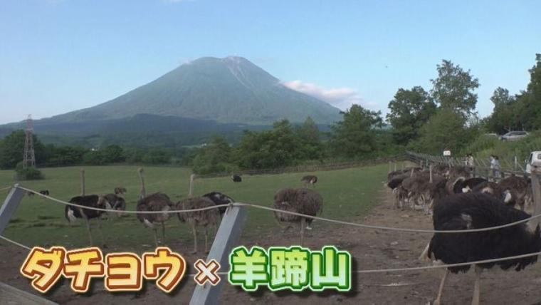 子どももビックリ「なんの動物？」「地球上で一番大きい卵」北海道ニセコ町で見つけた牧 場の取り組みに注目