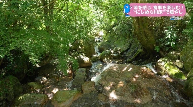 【宮崎】涼を感じ、食事を楽しむ！西米良温泉ゆた〜と「にしめら川床」で癒しの時間（西米良村）