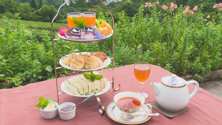 【岡山】山腹にある紅茶農園が営む紅茶専門店。絶景を眺めながらアフタヌーンティーで贅沢なひと時を