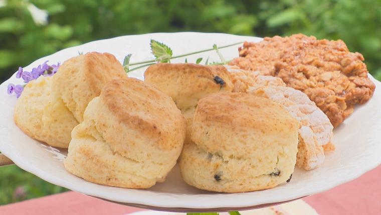 【岡山】山腹にある紅茶農園が営む紅茶専門店。絶景を眺めながらアフタヌーンティーで贅沢なひと時を
