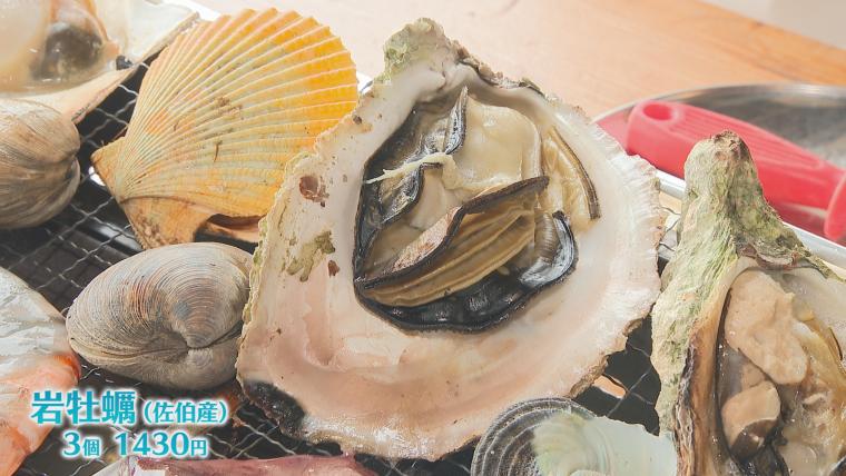 【大分】“豊後の天橋立”住吉浜でマリーンスポーツやグルメを満喫