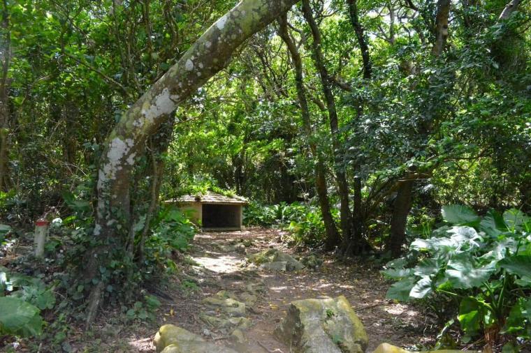 【沖縄】ただの観光地ではない？！世界遺産「今帰仁城跡」の楽しみ方