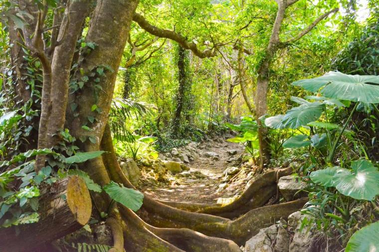 【沖縄】ただの観光地ではない？！世界遺産「今帰仁城跡」の楽しみ方