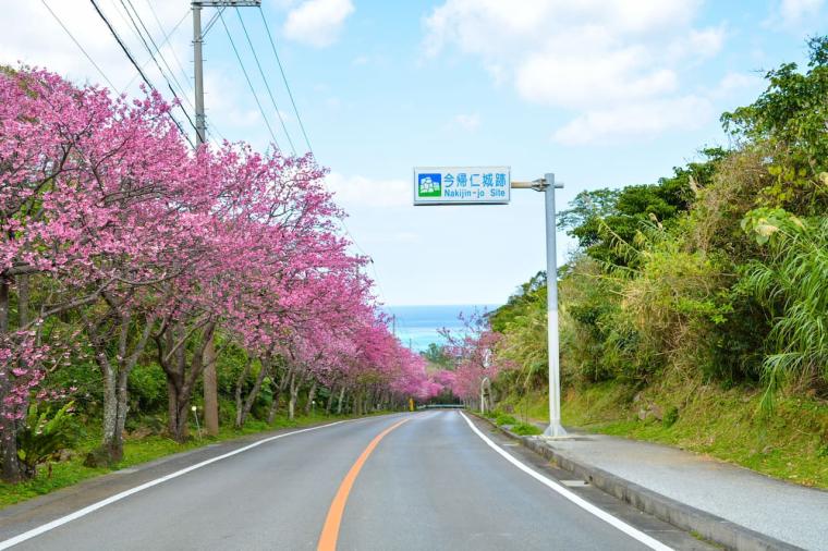 【沖縄】ただの観光地ではない？！世界遺産「今帰仁城跡」の楽しみ方