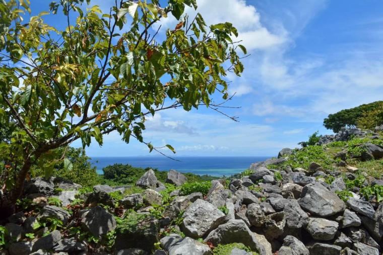 【沖縄】ただの観光地ではない？！世界遺産「今帰仁城跡」の楽しみ方