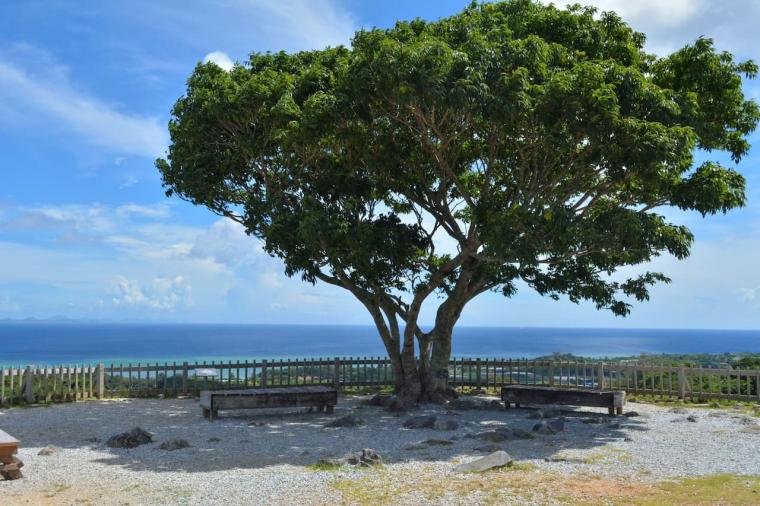 【沖縄】ただの観光地ではない？！世界遺産「今帰仁城跡」の楽しみ方