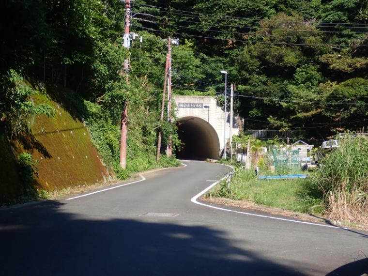 【静岡県西伊豆町・シーサイドベース安良里】漁港の手ぶらキャンプ場 テントも BBQ も持ち物ナシ!