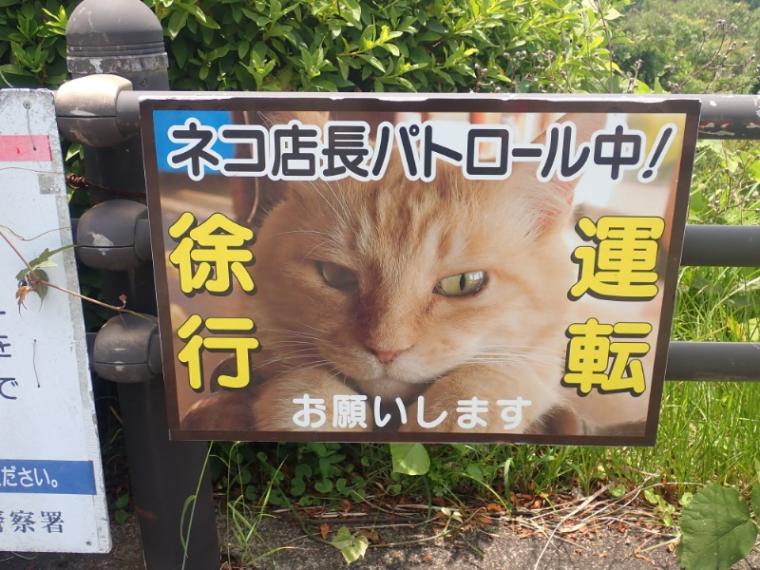 【静岡県伊豆市・恋人岬】予想以上にラブラブの恋人岬 おひとり様で行ってみた