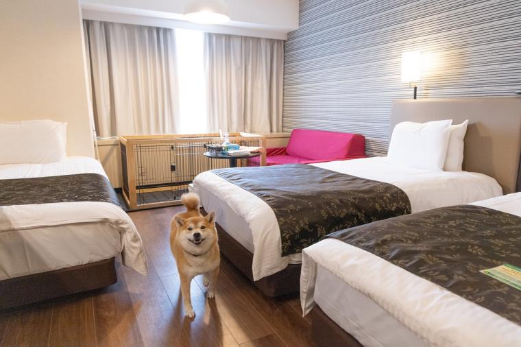 アパホテル＆リゾート〈上越妙高〉