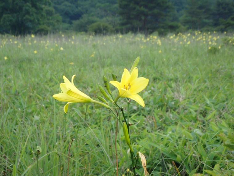 パワースポット「榛名神社」参拝モデルコース＆周辺観光スポット
