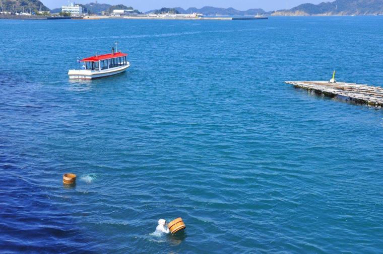 ミキモト真珠島