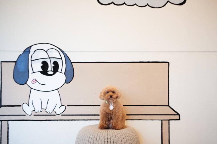 本館で利用できるチェキ撮影サービス