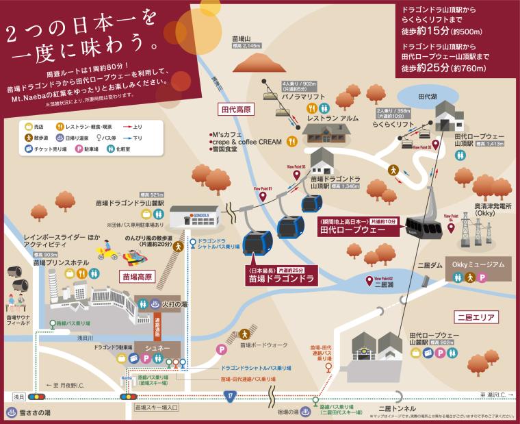 2つの日本一で絶景を体験！「苗場ドラゴンドラ」紅葉営業を開始