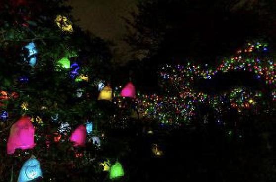 六甲山「ひかりの森～夜の芸術散歩～」