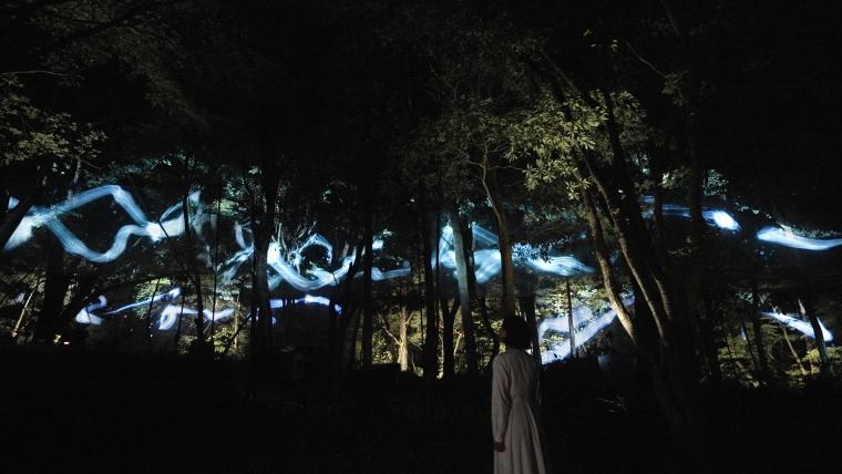 作品「森に描かれる空書：ワンストローク / Spatial Calligraphy in the Forest: One Stroke」