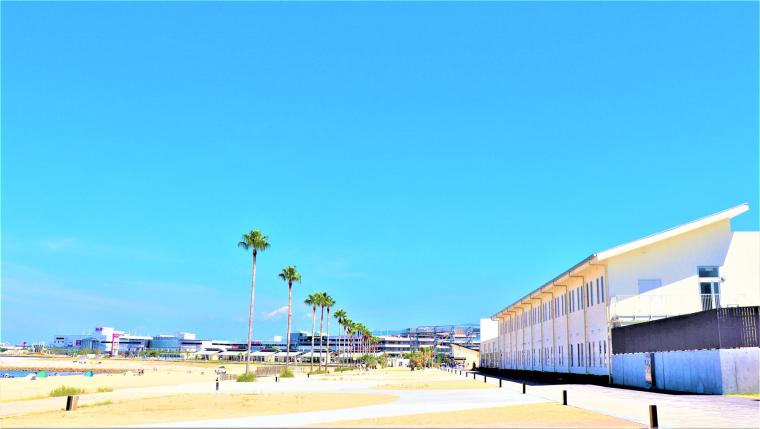 泉南りんくう公園