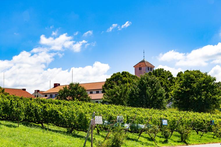 神戸ワイナリー