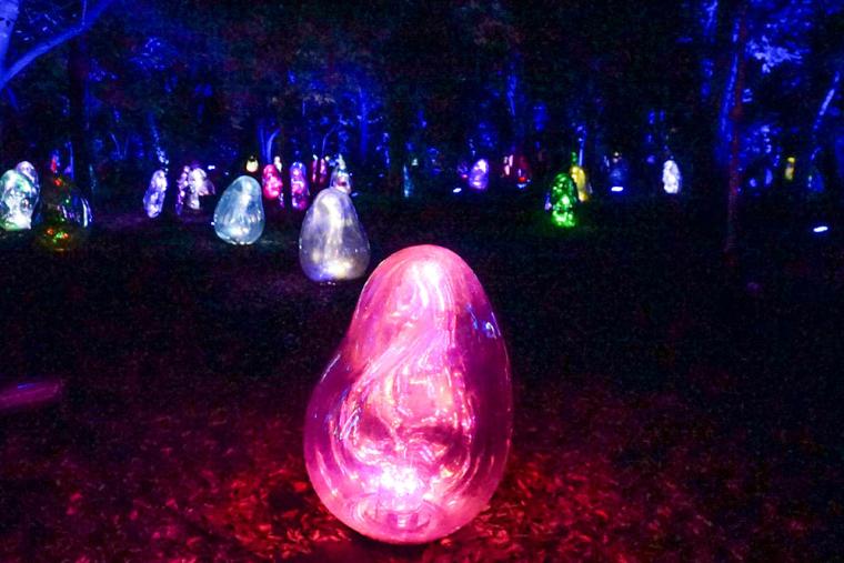 チームラボ ボタニカルガーデン 大阪