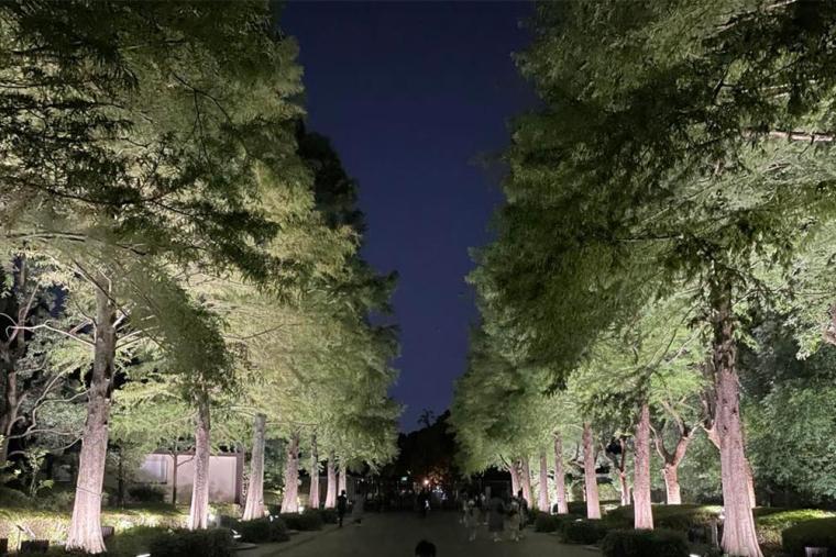 チームラボ ボタニカルガーデン 大阪