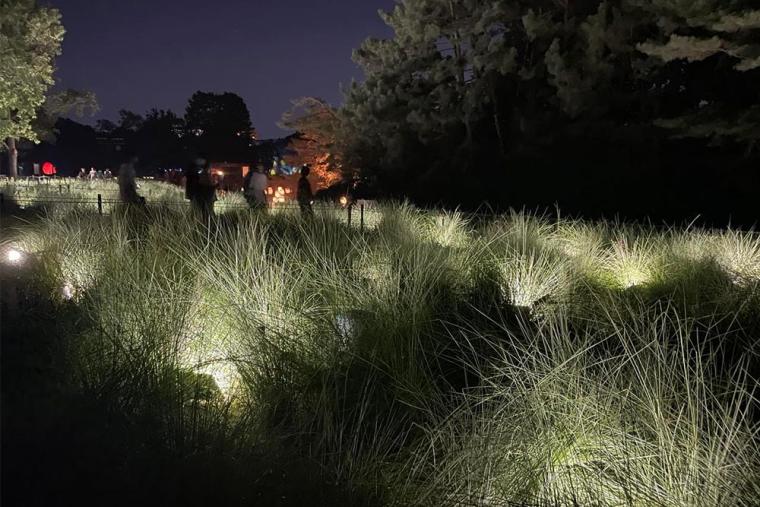 チームラボ ボタニカルガーデン 大阪
