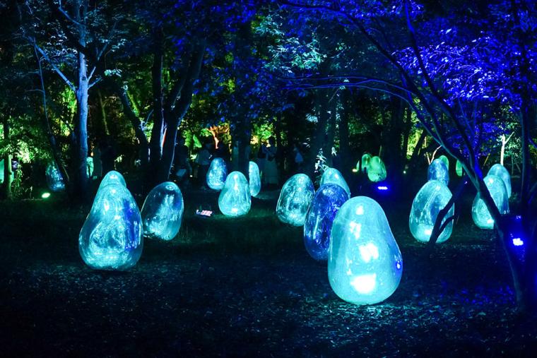 チームラボ ボタニカルガーデン 大阪