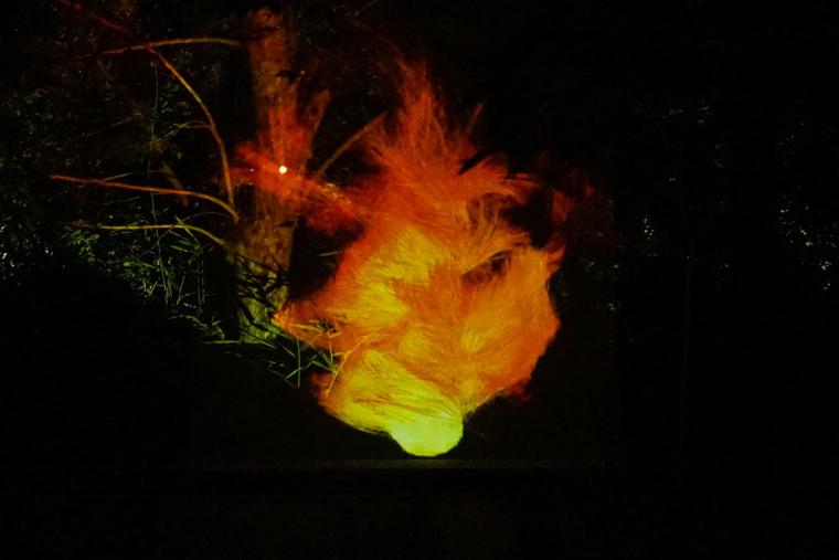 チームラボ ボタニカルガーデン 大阪