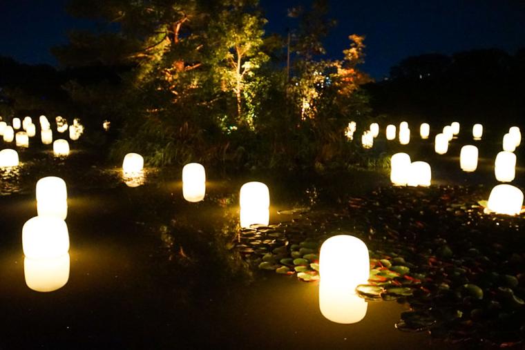 チームラボ ボタニカルガーデン 大阪