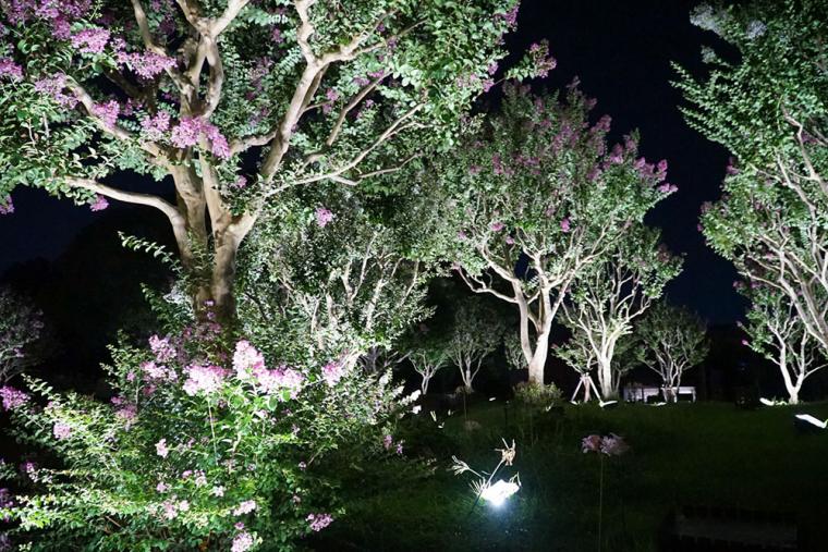 チームラボ ボタニカルガーデン 大阪