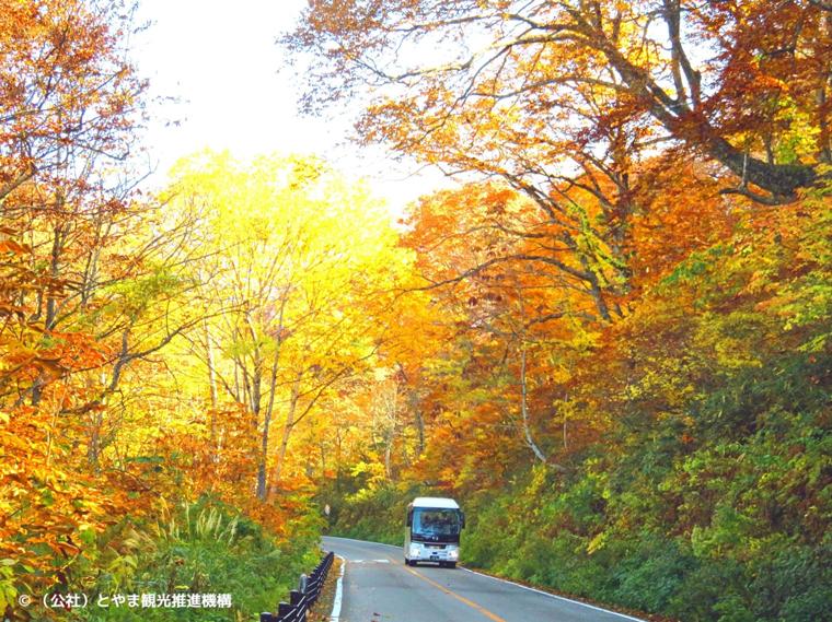 【立山黒部アルペンルート】紅葉見ごろガイドーー今秋「立山トンネルトロリーバス」「遊覧船ガルベ」いよいよ見納め！北アルプス高低差2000mの旅