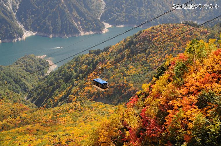 【立山黒部アルペンルート】紅葉見ごろガイドーー今秋「立山トンネルトロリーバス」「遊覧船ガルベ」いよいよ見納め！北アルプス高低差2000mの旅