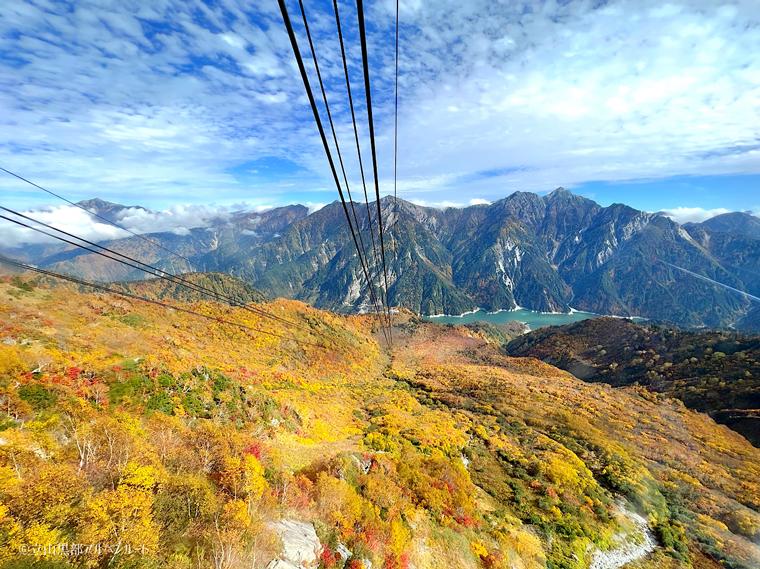 【立山黒部アルペンルート】紅葉見ごろガイドーー今秋「立山トンネルトロリーバス」「遊覧船ガルベ」いよいよ見納め！北アルプス高低差2000mの旅