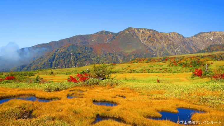 【立山黒部アルペンルート】紅葉見ごろガイドーー今秋「立山トンネルトロリーバス」「遊覧船ガルベ」いよいよ見納め！北アルプス高低差2000mの旅