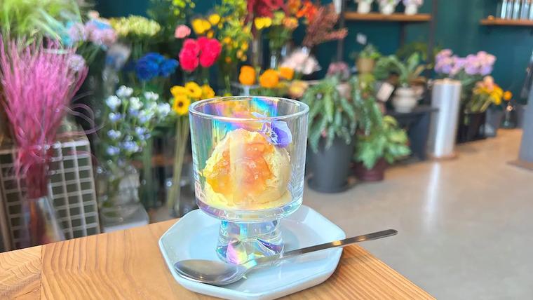ハイセンスなお花屋さんとジェラートやハーブティに癒されるカフェ【毎日+popo】植物療法士のいる“花屋カフェ”