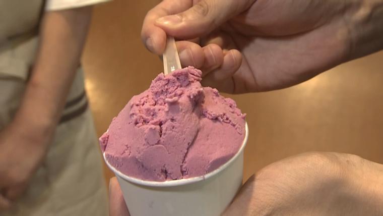 地元食材で毎朝作りたて【Vivace】富山県氷見市・ひみ番屋街の人気ジェラート店の売れ筋TOP3