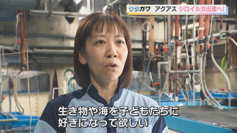 【島根】水族館の飼育員さんお仕事に密着！シロイルカの出産に初立ち合い…！