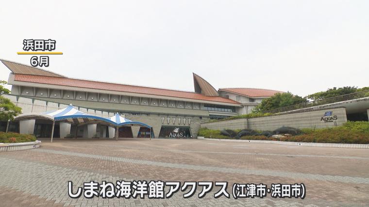 【島根】水族館の飼育員さんお仕事に密着！シロイルカの出産に初立ち合い…！